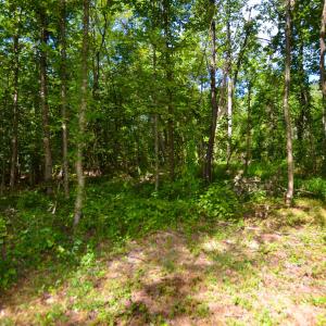 Photo #27 of DUDLEY MOUNTAIN RD, NORTH GARDEN, VA 13.5 acres