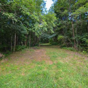 Photo #4 of DUDLEY MOUNTAIN RD, NORTH GARDEN, VA 13.5 acres