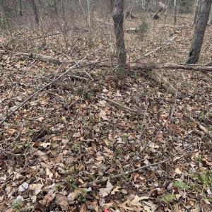 Photo #46 of DUDLEY MOUNTAIN RD, NORTH GARDEN, VA 13.5 acres