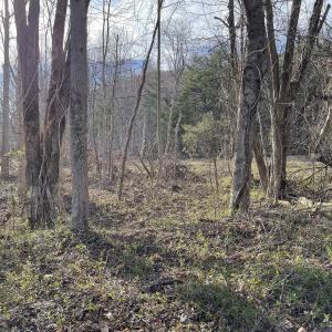 Photo #44 of DUDLEY MOUNTAIN RD, NORTH GARDEN, VA 13.5 acres