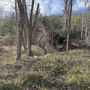 Photo #43 of DUDLEY MOUNTAIN RD, NORTH GARDEN, VA 13.5 acres