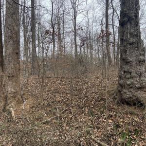 Photo #36 of DUDLEY MOUNTAIN RD, NORTH GARDEN, VA 13.5 acres