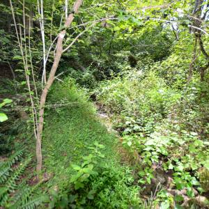 Photo #17 of DUDLEY MOUNTAIN RD, NORTH GARDEN, VA 13.5 acres