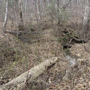 Photo #37 of DUDLEY MOUNTAIN RD, NORTH GARDEN, VA 13.5 acres