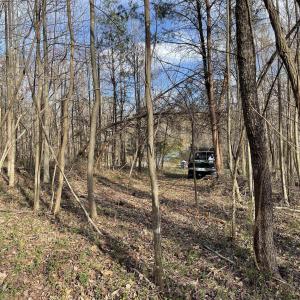 Photo #42 of DUDLEY MOUNTAIN RD, NORTH GARDEN, VA 13.5 acres