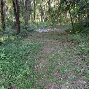 Photo #41 of DUDLEY MOUNTAIN RD, NORTH GARDEN, VA 13.5 acres