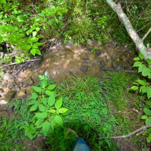 Photo #18 of DUDLEY MOUNTAIN RD, NORTH GARDEN, VA 13.5 acres