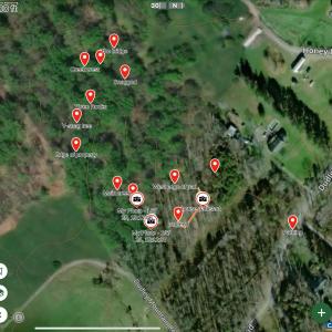Photo #3 of DUDLEY MOUNTAIN RD, NORTH GARDEN, VA 13.5 acres
