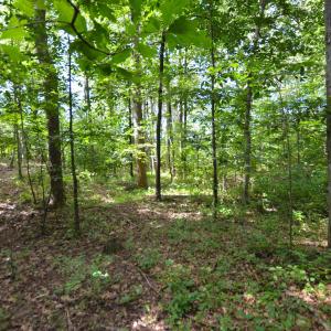 Photo #23 of DUDLEY MOUNTAIN RD, NORTH GARDEN, VA 13.5 acres
