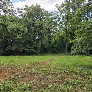 Photo #2 of 8 GREENWOOD HOLLOW, GREENWOOD, VA 21.0 acres
