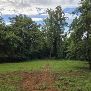Photo #3 of 8 GREENWOOD HOLLOW, GREENWOOD, VA 21.0 acres