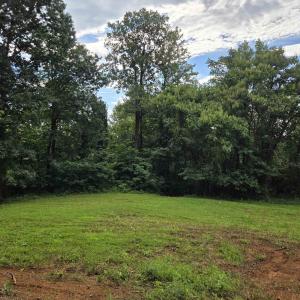 Photo #4 of 8 GREENWOOD HOLLOW, GREENWOOD, VA 21.0 acres
