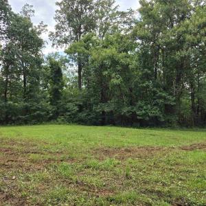 Photo #1 of 8 GREENWOOD HOLLOW, GREENWOOD, VA 21.0 acres