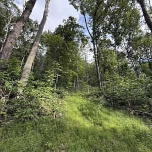 Photo #60 of 198 acres RUNIONS CREEK RD, BROADWAY, VA 198.5 acres