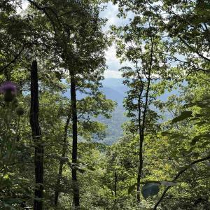 Photo #4 of 198 acres RUNIONS CREEK RD, BROADWAY, VA 198.5 acres