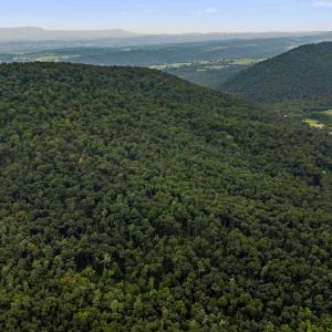 Photo #44 of 198 acres RUNIONS CREEK RD, BROADWAY, VA 198.5 acres