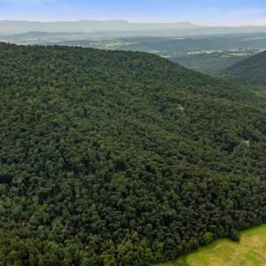 Photo #45 of 198 acres RUNIONS CREEK RD, BROADWAY, VA 198.5 acres