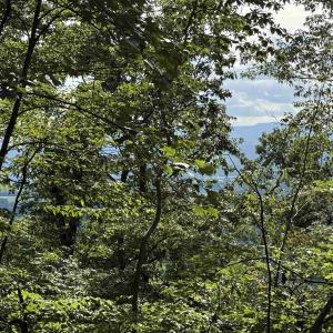 Photo #18 of 198 acres RUNIONS CREEK RD, BROADWAY, VA 198.5 acres