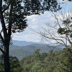 Photo #1 of 198 acres RUNIONS CREEK RD, BROADWAY, VA 198.5 acres
