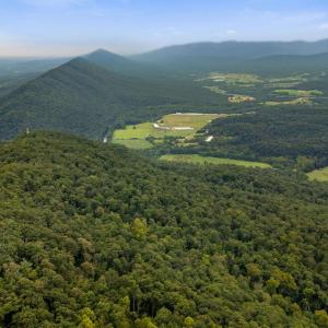 Photo #40 of 198 acres RUNIONS CREEK RD, BROADWAY, VA 198.5 acres