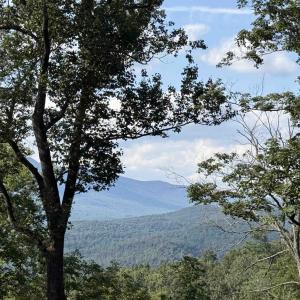 Photo #14 of 198 acres RUNIONS CREEK RD, BROADWAY, VA 198.5 acres