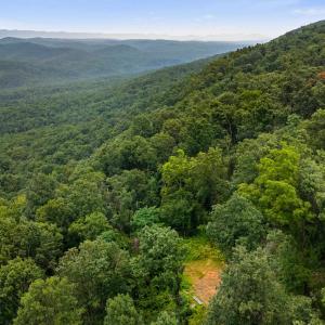 Photo #34 of 198 acres RUNIONS CREEK RD, BROADWAY, VA 198.5 acres