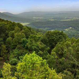 Photo #20 of 198 acres RUNIONS CREEK RD, BROADWAY, VA 198.5 acres