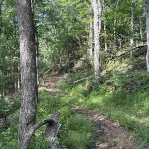 Photo #11 of 198 acres RUNIONS CREEK RD, BROADWAY, VA 198.5 acres