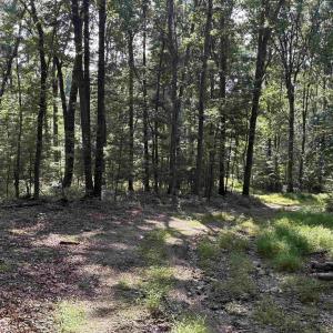 Photo #9 of 198 acres RUNIONS CREEK RD, BROADWAY, VA 198.5 acres