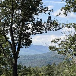 Photo #13 of 198 acres RUNIONS CREEK RD, BROADWAY, VA 198.5 acres