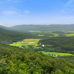 Photo #19 of 198 acres RUNIONS CREEK RD, BROADWAY, VA 198.5 acres