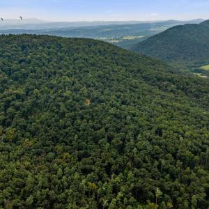 Photo #43 of 198 acres RUNIONS CREEK RD, BROADWAY, VA 198.5 acres