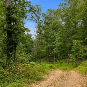Photo #59 of 198 acres RUNIONS CREEK RD, BROADWAY, VA 198.5 acres