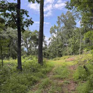 Photo #26 of 198 acres RUNIONS CREEK RD, BROADWAY, VA 198.5 acres