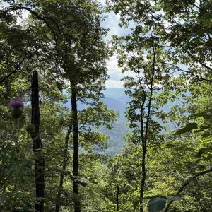 Photo #15 of 198 acres RUNIONS CREEK RD, BROADWAY, VA 198.5 acres
