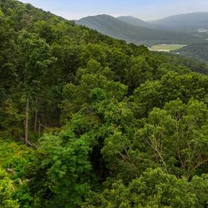 Photo #35 of 198 acres RUNIONS CREEK RD, BROADWAY, VA 198.5 acres