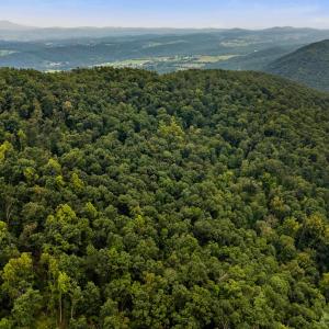 Photo #41 of 198 acres RUNIONS CREEK RD, BROADWAY, VA 198.5 acres