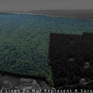 Photo #3 of 198 acres RUNIONS CREEK RD, BROADWAY, VA 198.5 acres