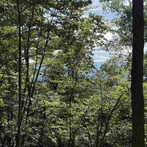 Photo #17 of 198 acres RUNIONS CREEK RD, BROADWAY, VA 198.5 acres