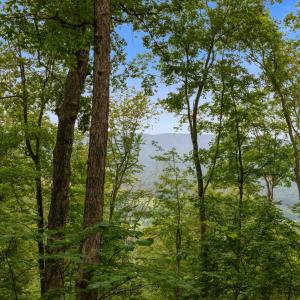 Photo #56 of 198 acres RUNIONS CREEK RD, BROADWAY, VA 198.5 acres