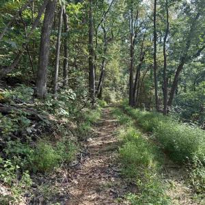 Photo #8 of 198 acres RUNIONS CREEK RD, BROADWAY, VA 198.5 acres