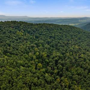 Photo #42 of 198 acres RUNIONS CREEK RD, BROADWAY, VA 198.5 acres