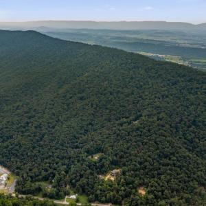Photo #49 of 198 acres RUNIONS CREEK RD, BROADWAY, VA 198.5 acres