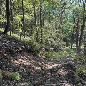 Photo #12 of 198 acres RUNIONS CREEK RD, BROADWAY, VA 198.5 acres