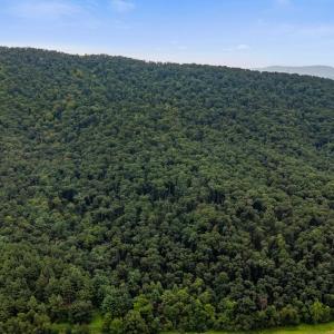 Photo #46 of 198 acres RUNIONS CREEK RD, BROADWAY, VA 198.5 acres