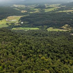 Photo #39 of 198 acres RUNIONS CREEK RD, BROADWAY, VA 198.5 acres