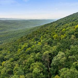 Photo #22 of 198 acres RUNIONS CREEK RD, BROADWAY, VA 198.5 acres