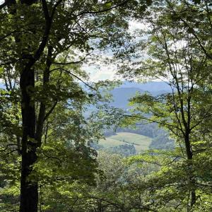 Photo #2 of 198 acres RUNIONS CREEK RD, BROADWAY, VA 198.5 acres