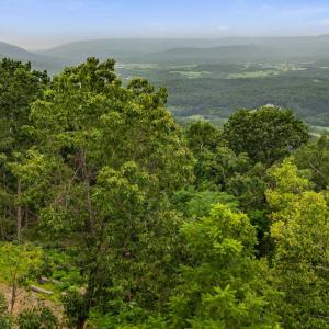 Photo #21 of 198 acres RUNIONS CREEK RD, BROADWAY, VA 198.5 acres