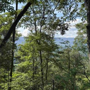 Photo #5 of 198 acres RUNIONS CREEK RD, BROADWAY, VA 198.5 acres